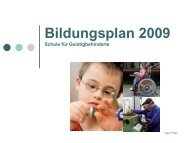 Bildungsplan 2009 Schule für Geistigbehinderte - Astrid Lindgren ...