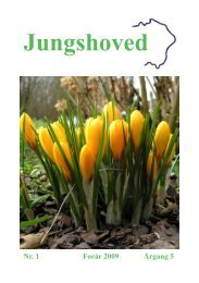 Nummer 4 Vinter 2007.pdf - Jungshoved