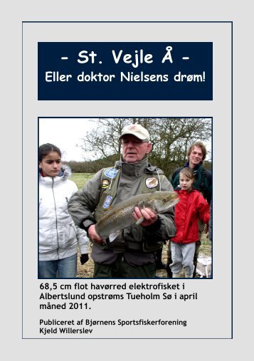 St. Vejle Å - bjoernenfisker.dk