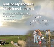 Nationalparkplanen - Naturstyrelsen