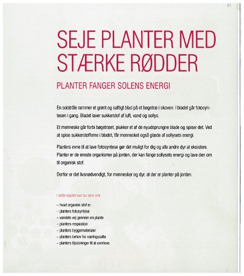 SEJE PLANTER MED STÆRKE RØDDER Th.