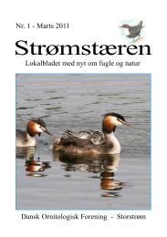 nummer 1 - DOF Storstrøm