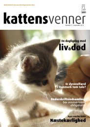 kattensvenner - Kattens Værn