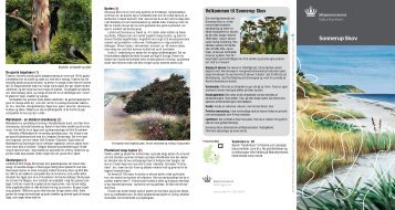Sonnerup Skov A4 - Naturstyrelsen