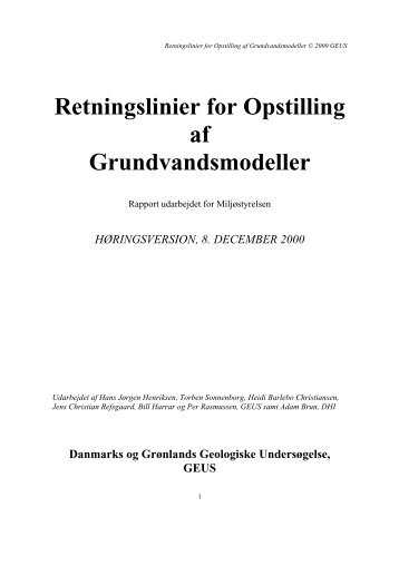 Retningslinier for Opstilling af Grundvandsmodeller - National ...