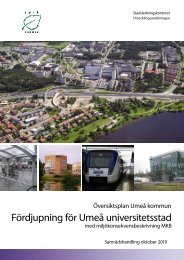 Fördjupning för Umeå universitetsstad