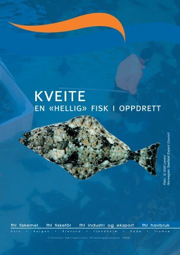 FHL folder kveite - NHO