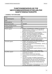 FUNKTIONSBESKRIVELSE FOR NÆSTKOMMANDERENDE ...