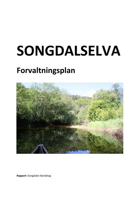 Songdalselva - forvaltningsplan - Songdalen kommune