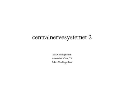 centralnervesystemet 2