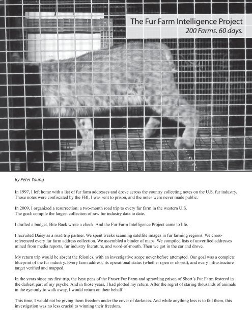 animal liberation front fbi animal liberation front fbi