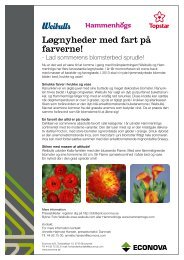 Løgnyheder med fart på farverne! - Econova