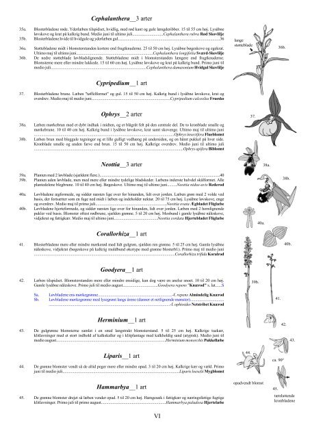 Nøgle til de danske orkideer (PDF-format)