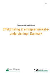 Effektmåling 2010 - Fonden for Entreprenørskab