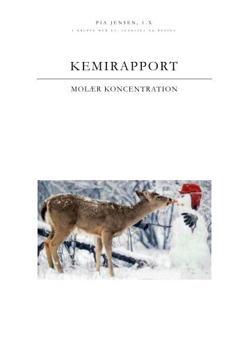 KEMIRAPPORT