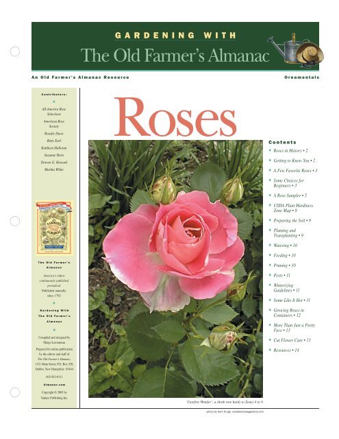 Rose Gardening Guide Old Farmers Almanac