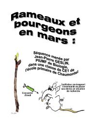 Rameaux et bourgeons en Mars J-P Geslin.pdf - Free