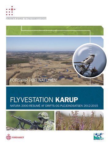 Flyvestation Karup, Natura 2000-resumé af drifts- og plejeindsatsen ...