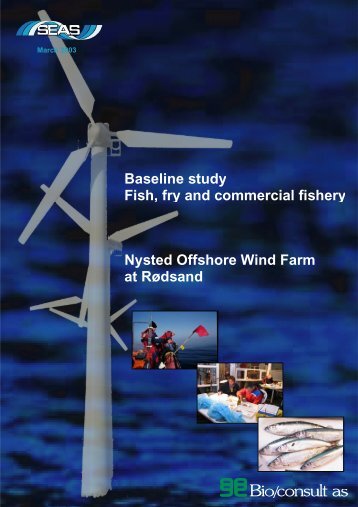 Baseline study Fish, fry and commercial fishery Nysted Offshore ...