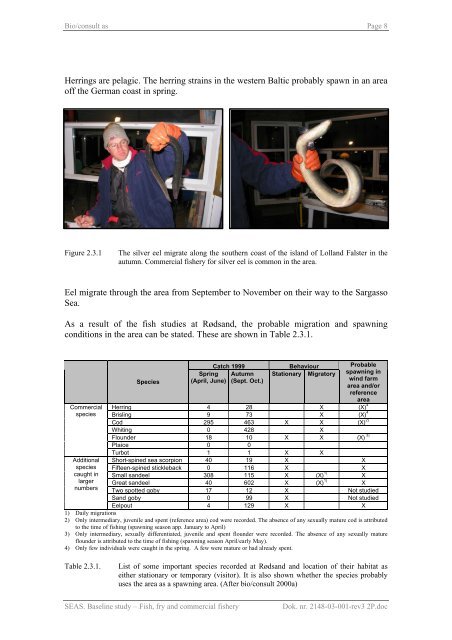 Baseline study Fish, fry and commercial fishery Nysted Offshore ...