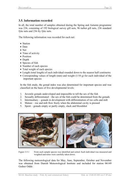 Baseline study Fish, fry and commercial fishery Nysted Offshore ...