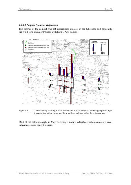 Baseline study Fish, fry and commercial fishery Nysted Offshore ...