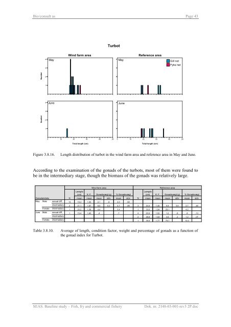 Baseline study Fish, fry and commercial fishery Nysted Offshore ...