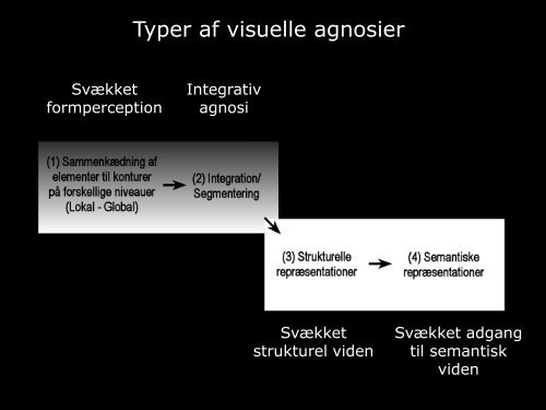 Visuel perception: teori & praksis