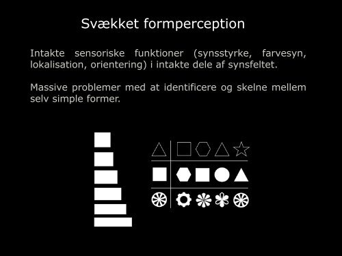 Visuel perception: teori & praksis