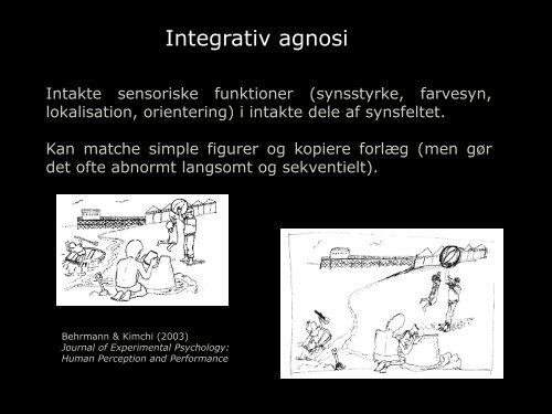 Visuel perception: teori & praksis