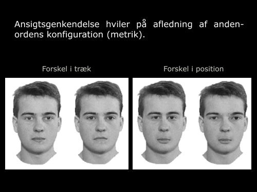 Visuel perception: teori & praksis