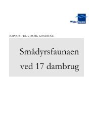 2010-2017 DVFI faunaprøver, Viborg kommune - WaterFrame