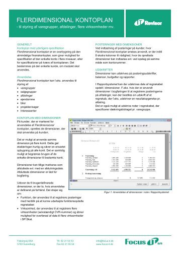 FLERDIMENSIONAL KONTOPLAN - Focus IT a/s