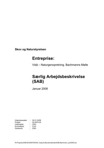 Entreprise: Særlig Arbejdsbeskrivelse (SAB) - SNÆBEL-PROJEKTET