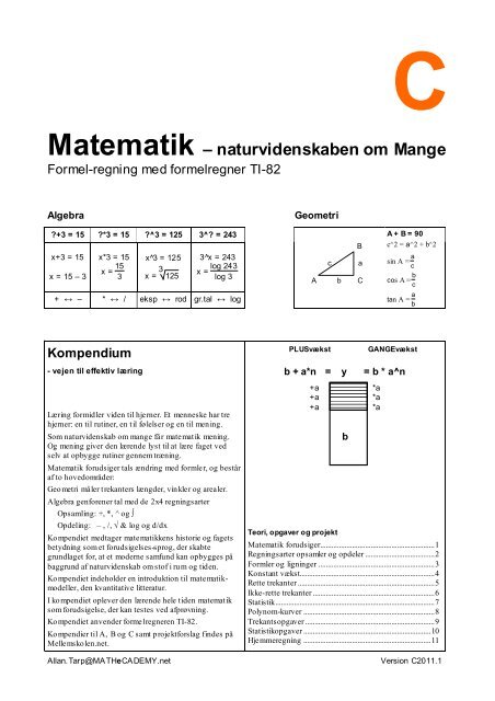 Matematik – naturvidenskaben om Mange