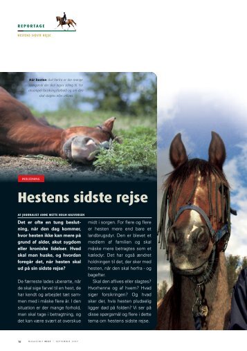 Hestens sidste rejse - Hestemagasinet.dk