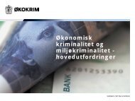 Økonomisk kriminalitet og miljøkriminalitet - hovedutfordringer