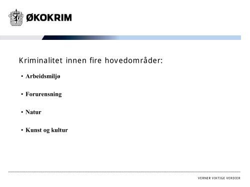 Økonomisk kriminalitet og miljøkriminalitet - hovedutfordringer