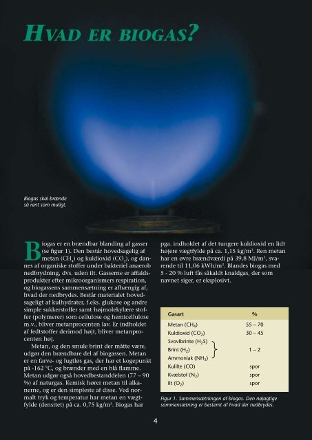 Biogas – grøn energi. Proces, anlæg ... - Lemvig Biogas