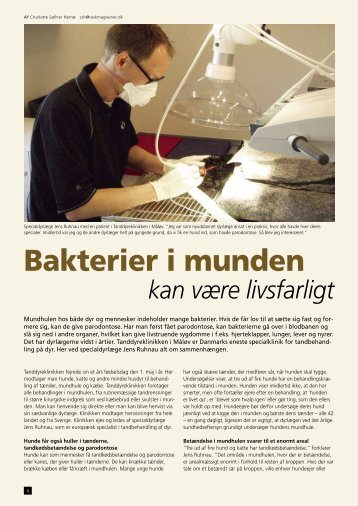 Bakterier i munden kan være livsfarligt(2008) - Tanddyreklinikken