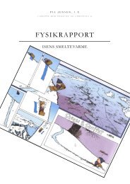 FYSIKRAPPORT