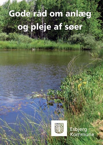 Gode råd om anlæg og pleje af søer (PDF) - Esbjerg Kommune