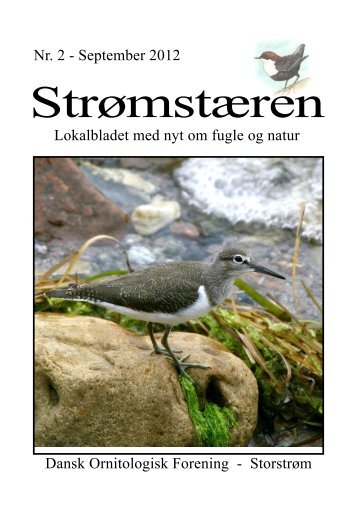 nummer 2 - DOF Storstrøm