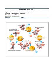 Biokemi øvelse 1 - Effimedicin