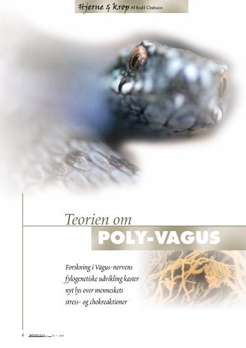 Poly-vagus teori - SE Foreningen Danmark