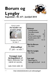 Borum og Lyngby