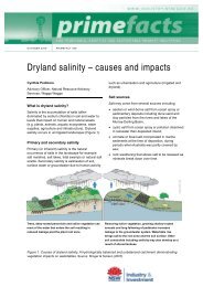 Dryland salinity – causes and impacts - NSW Department of Primary ...
