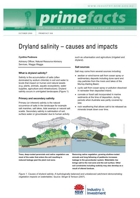 dryland-salinity-causes-and-impacts-nsw-department-of-primary