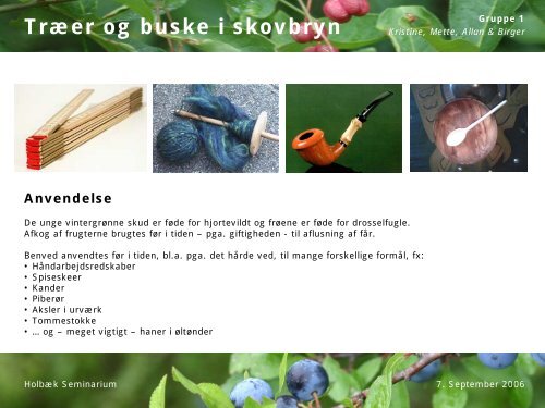 Træer og buske i skovbryn