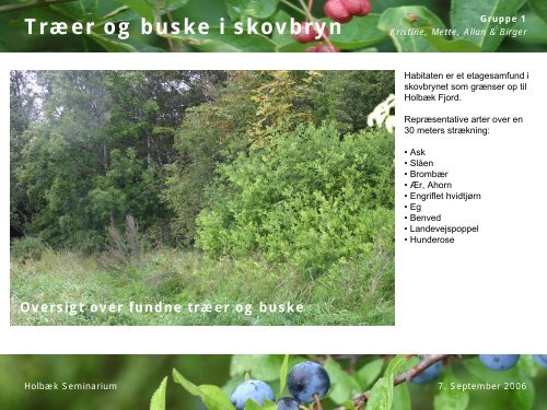 Træer og buske i skovbryn
